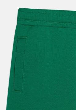 Fila Balboa Logo Pants Unisex - Pantalones Deportivos - Verdant Green -Fila 2f816088b27047aca22294c53a1bf940