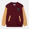 Fila Teistungen Varsity Unisex - Sudadera Con Cremallera - Tawny Port/Iced Coffee