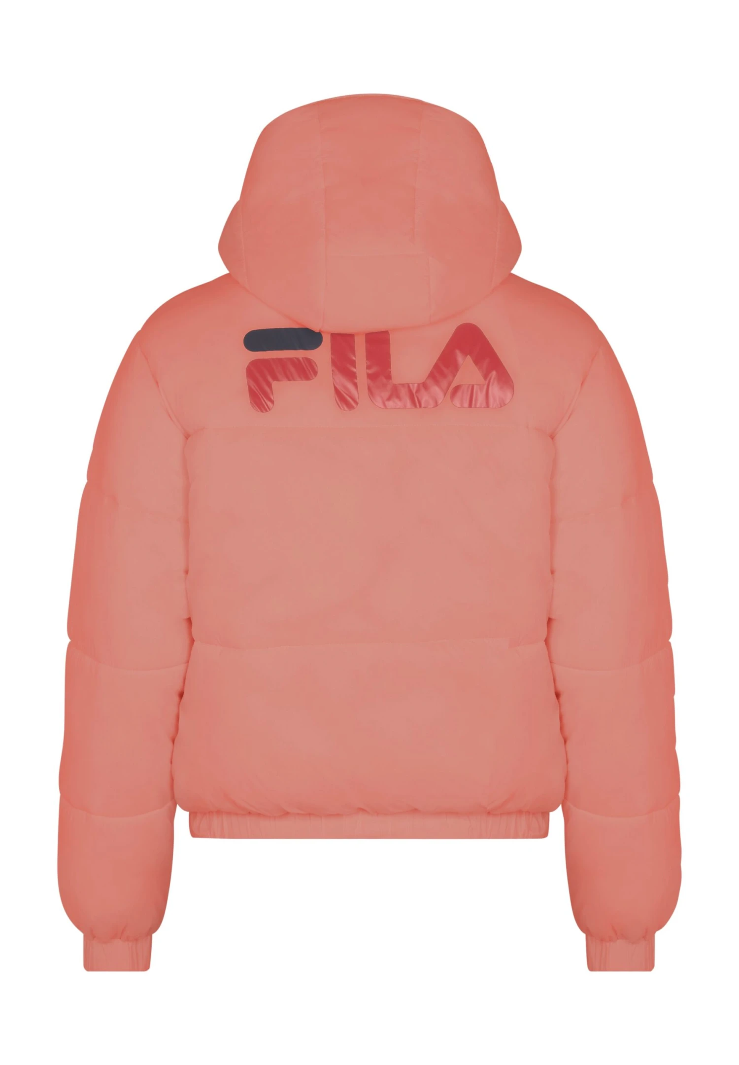 Fila Apparel Bender Cropped Padded- Chaqueta De Entretiempo - Tea Rose 3 Fila Apparel Bender Cropped Padded- Chaqueta De Entretiempo - Tea Rose - Imagen 3
