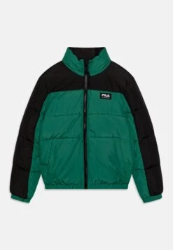 Fila Thalwenden Teens Blocked Puff Unisex - Chaqueta De Invierno - Verdant Green/Black