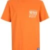 Fila Apparel Temnitztal- Camiseta Estampada - Celosia Orange