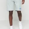 Fila Clemson- Shorts - Iceberg Green